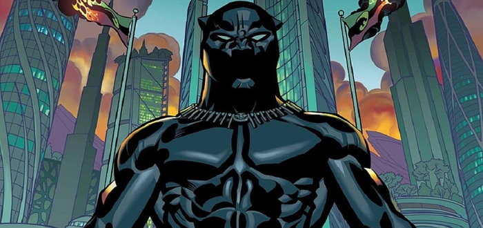 Black Panther 101