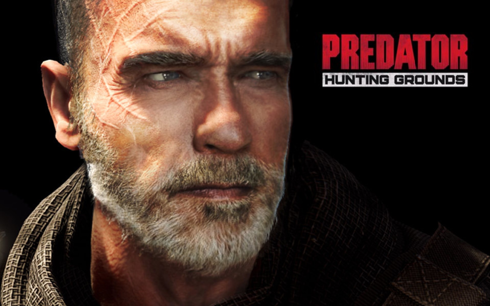 Dutch Returns To The Hunting Grounds