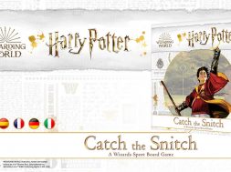 harry potter catch the snitch header